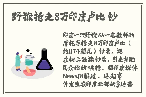 年轻人在线看片
